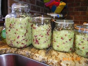 Green cabbage, pomegranate, fennel, lime leaf , ginger, honeycrisp Pretty!  Delicious?  We shall see!